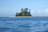 Beehive Island Hauraki Gulf